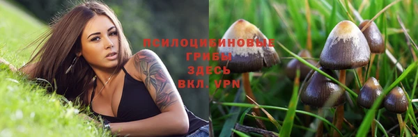 МДМА Вяземский