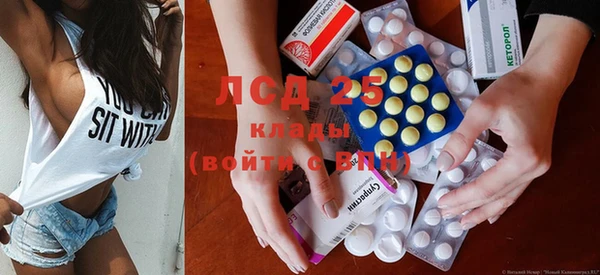 индика Сатка