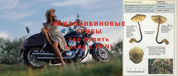 тгк Вязьма